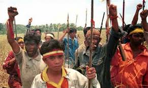 4 Penyebab Perang Sampit Yang Terjadi Pada Tahun 2001 - Hukamnas.com